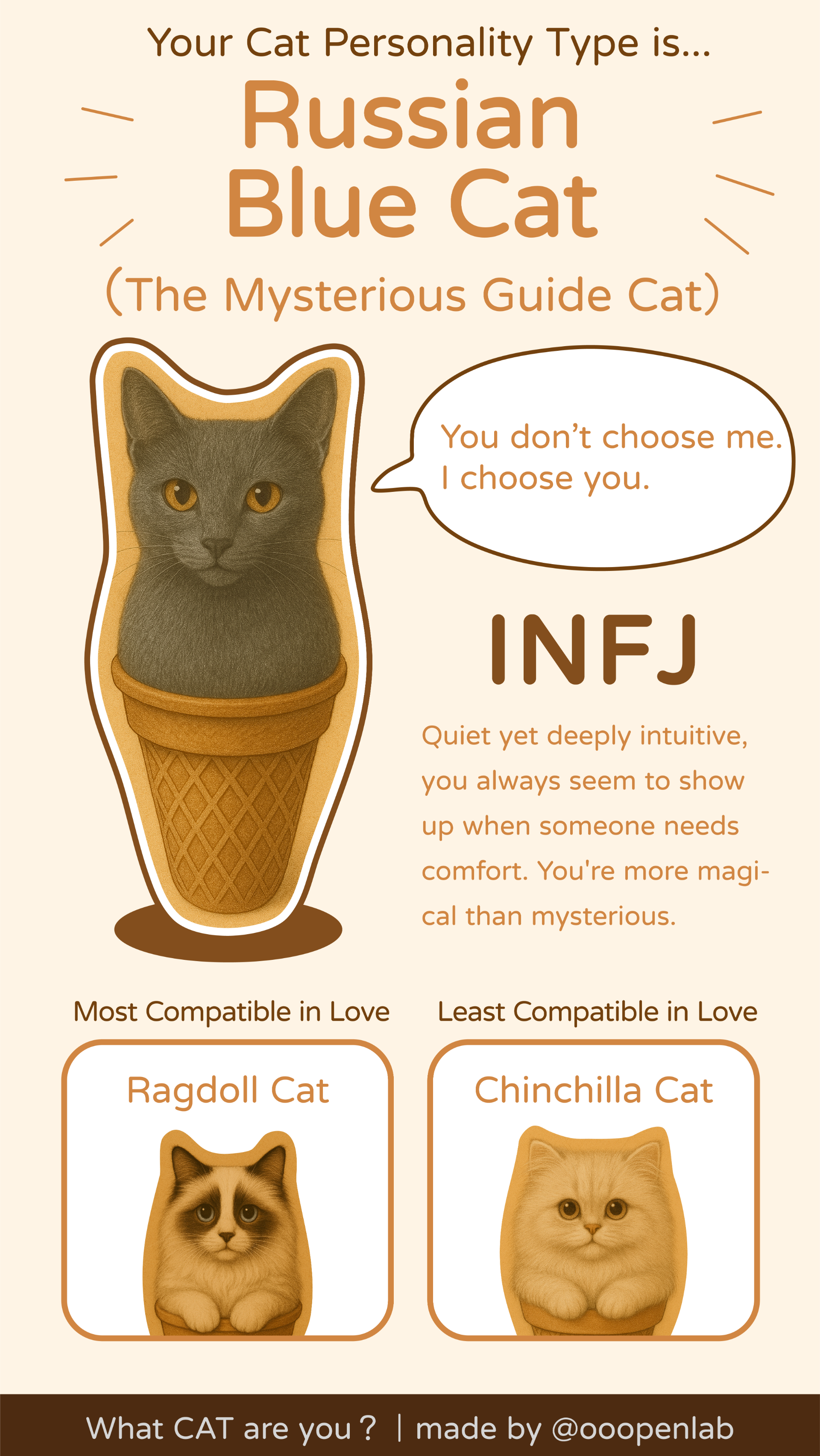 What Type of Cat is This: Identify Your Feline Fast!